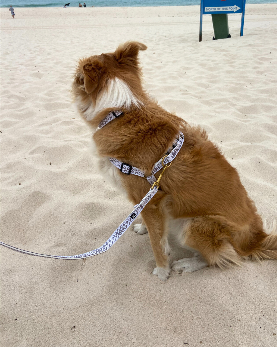 Hemp Dog Harness - Mocha Wave Print