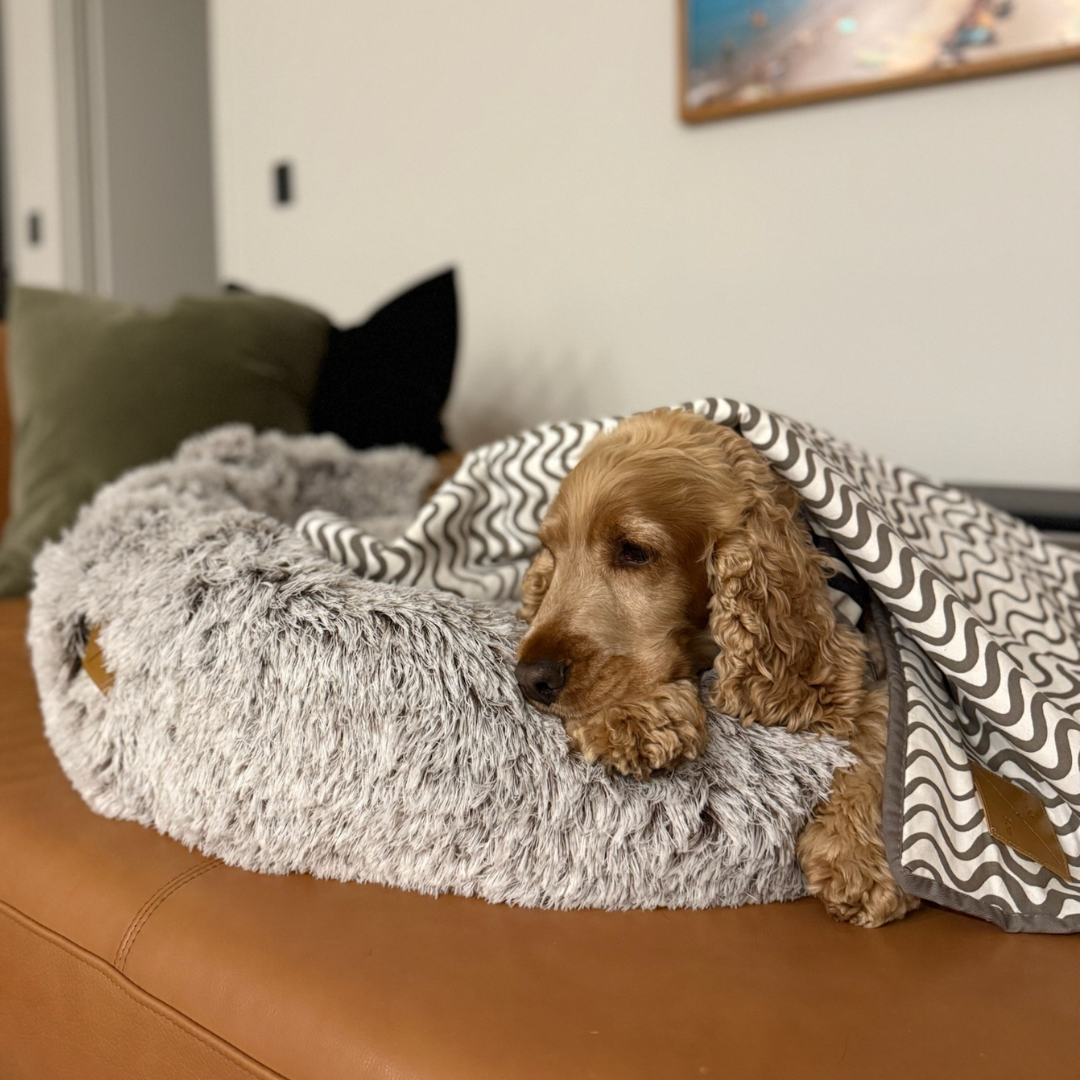 Anti-anxiety Soothing Circular Dog Bed - Soft Gray