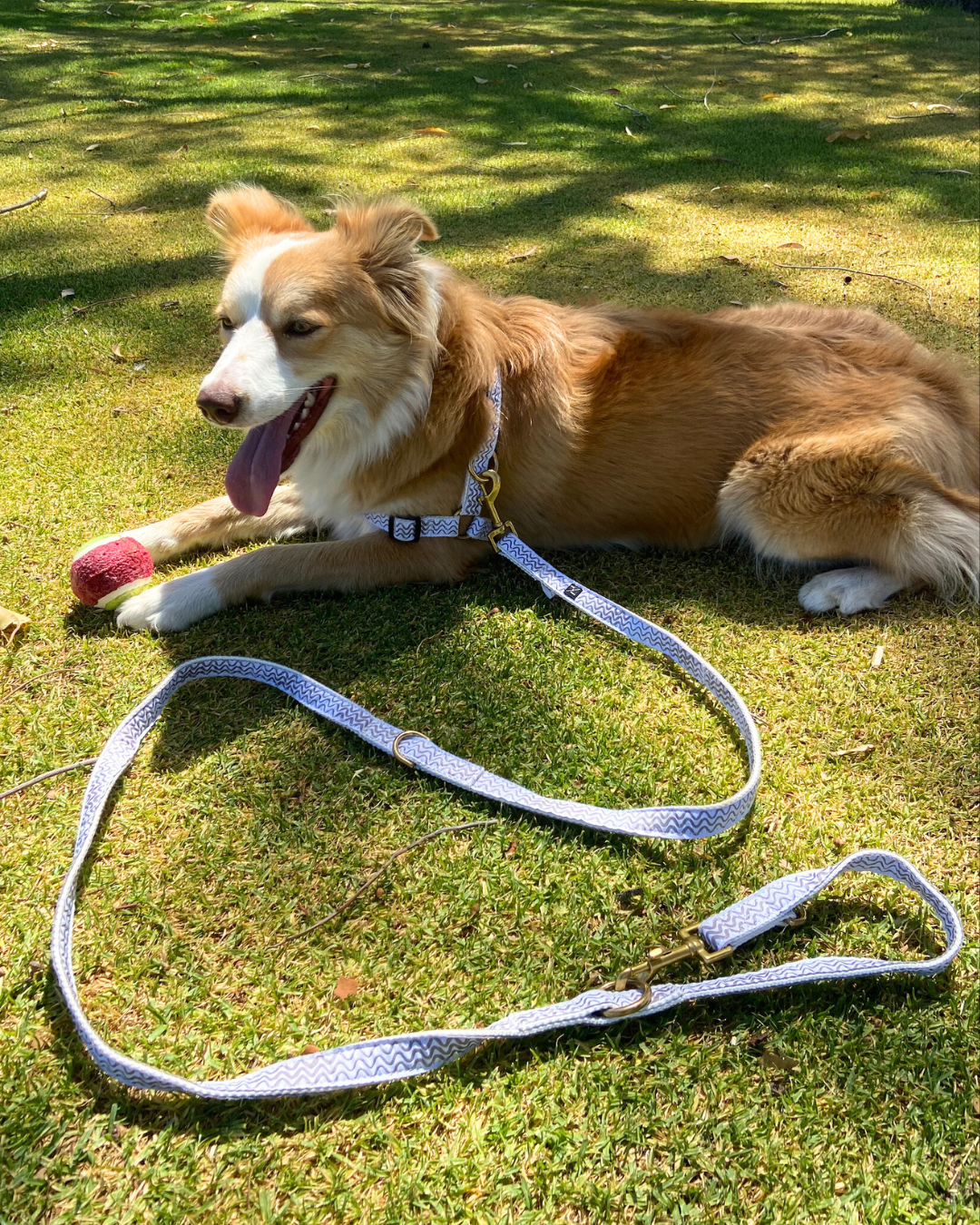 Hemp Dog Lead - Multi Function with Leather & Brass Fittings  - Mocha Wave