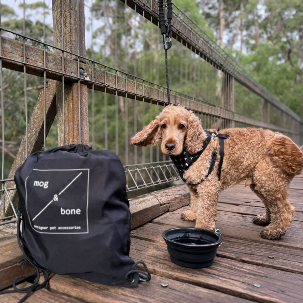 Father's Day Adventure Pack