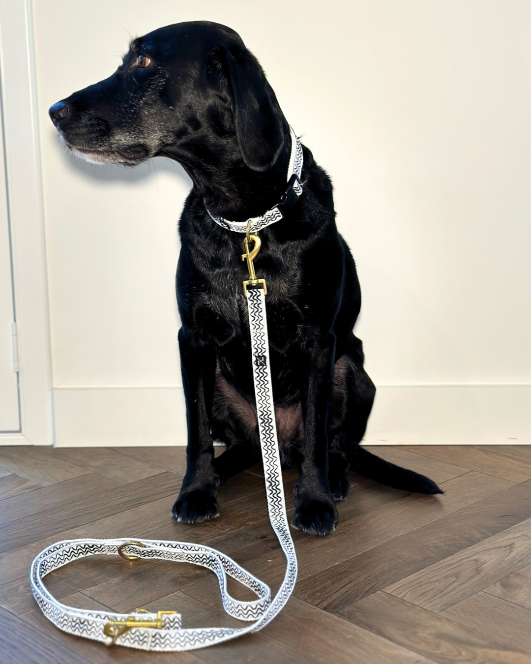 Hemp Dog Lead - Multi Function with Leather & Brass Fittings  - Black Wave