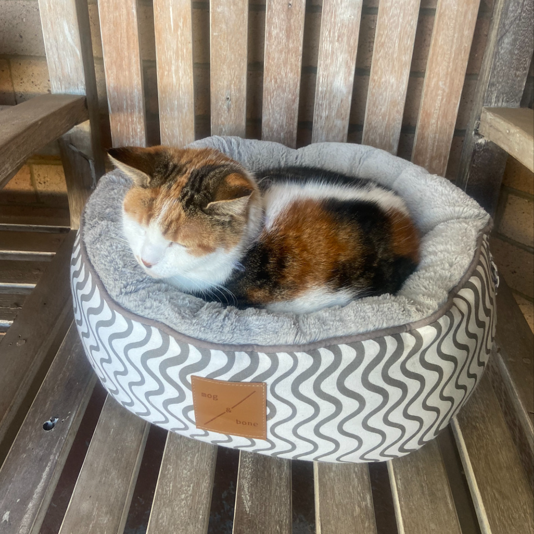 Cat Bed - Reversible - Mocha Wave Print