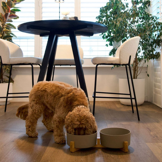 Bamboo Dog Bowls - Double with Stand - Mocha