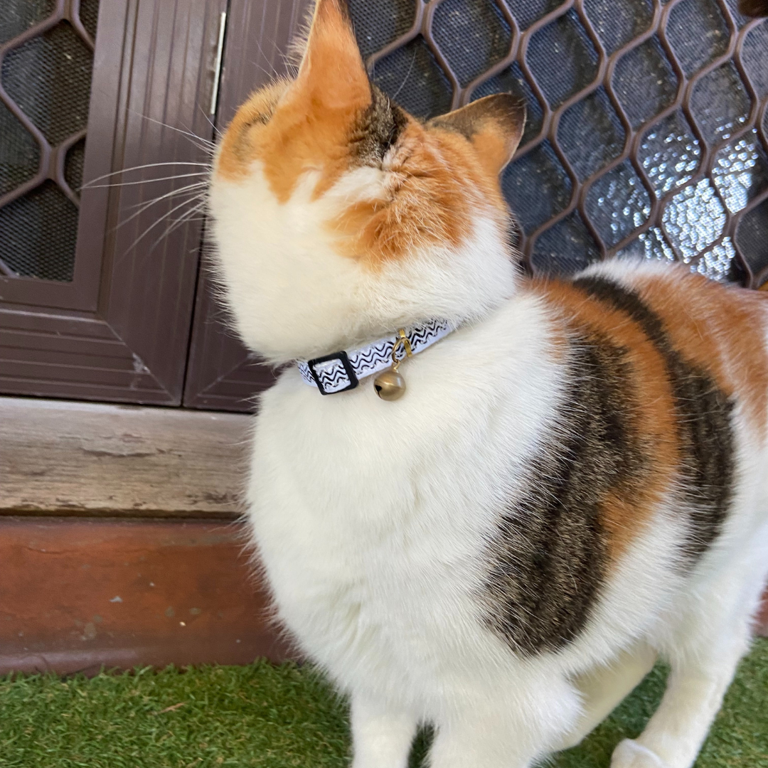 Hemp Cat Collar- Black Wave
