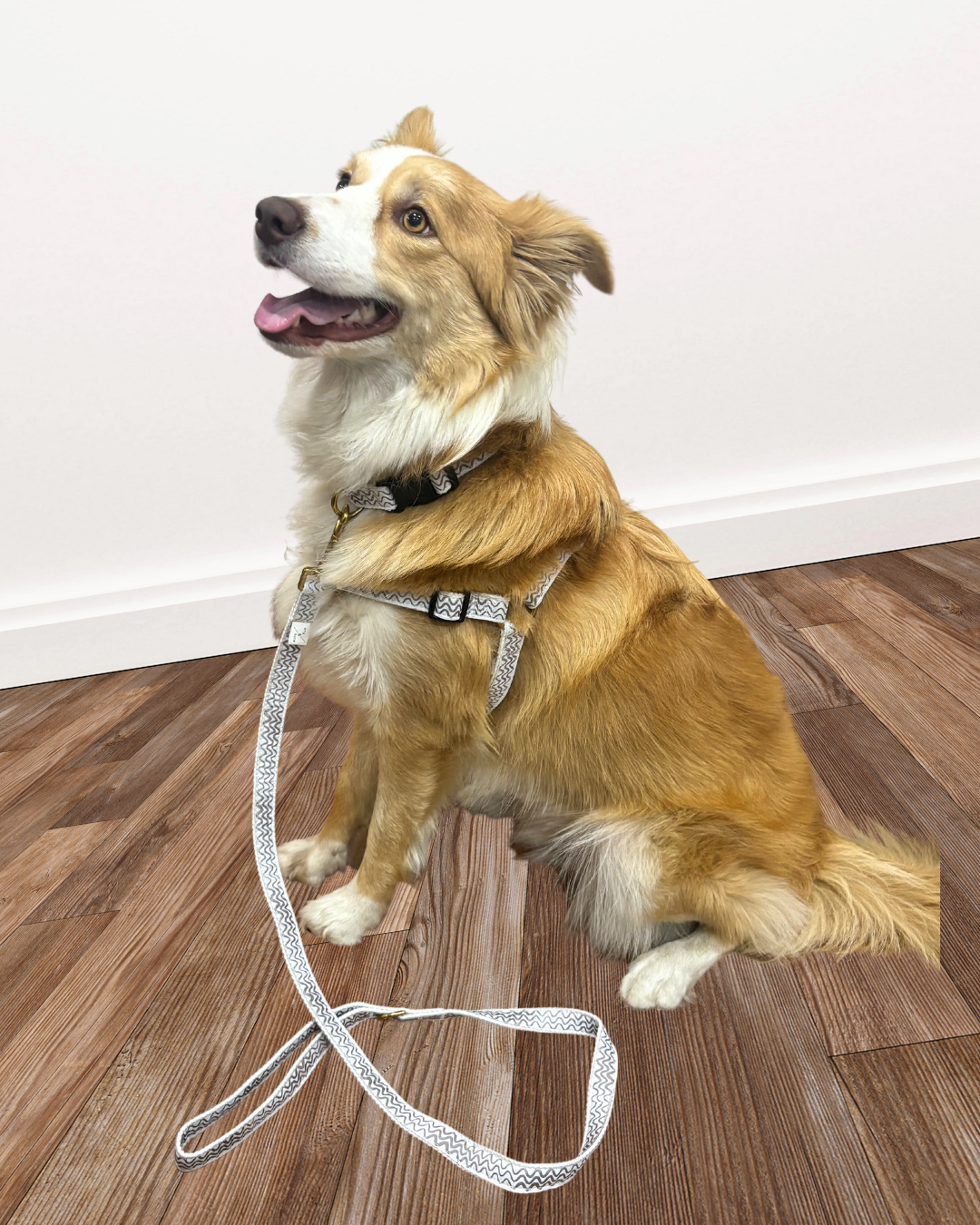 Hemp Dog Lead - Mocha Wave Print