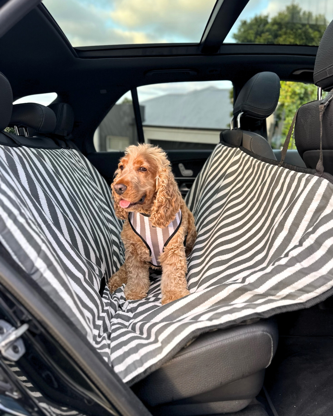 Striped car clearance seat covers