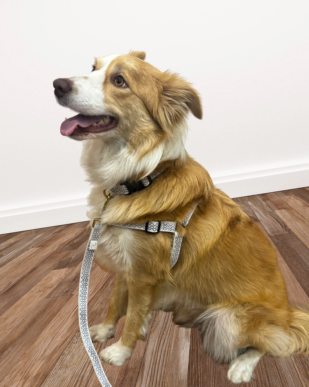 Hemp Dog Harness - Mocha Wave Print