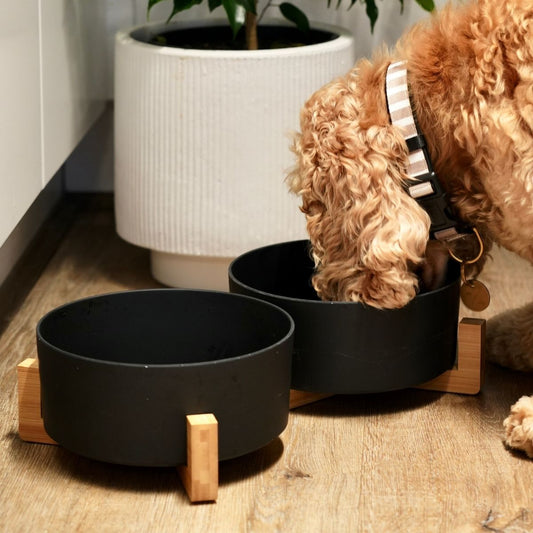 Bamboo Dog Bowls - Double with Stand - Black
