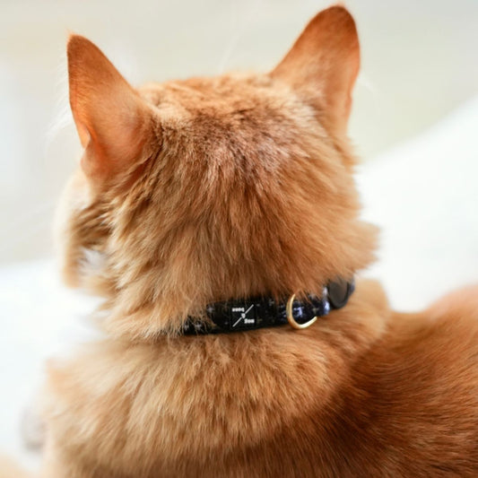 Cat Collar - Neoprene - Black Metallic Cross Print