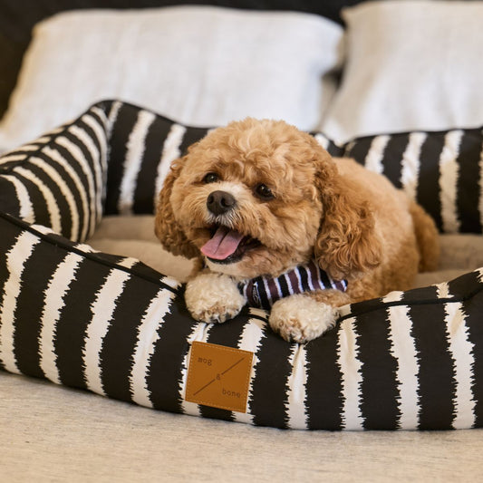 Bolster Dog Bed - Black Artisan Print