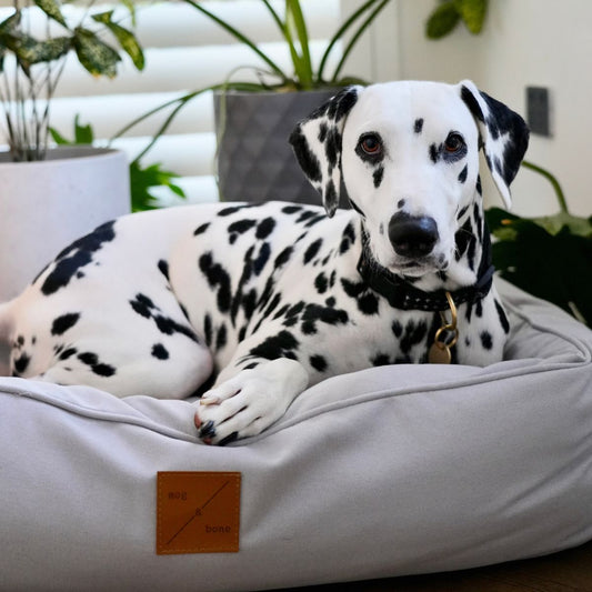 Bolster Dog Bed- Grey Mist