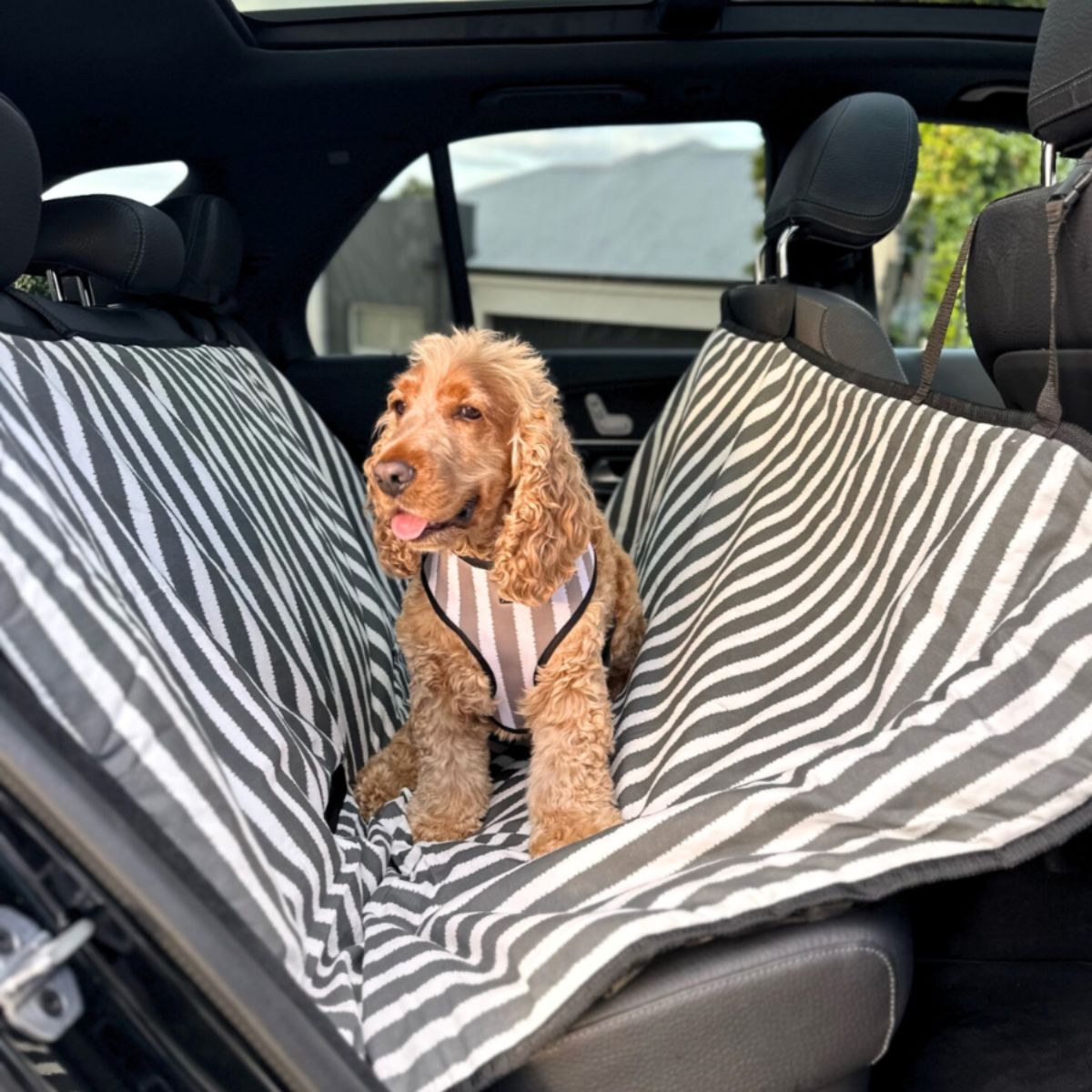Dog Car Seat Cover - Charcoal Hamptons Stripe
