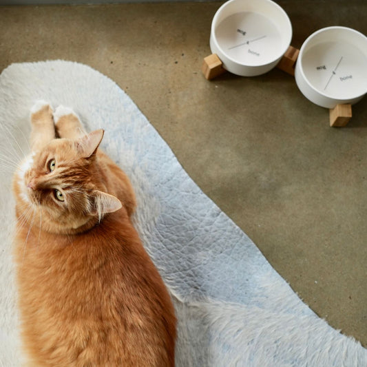 Bamboo Cat Bowl - Double with Stand - Natural