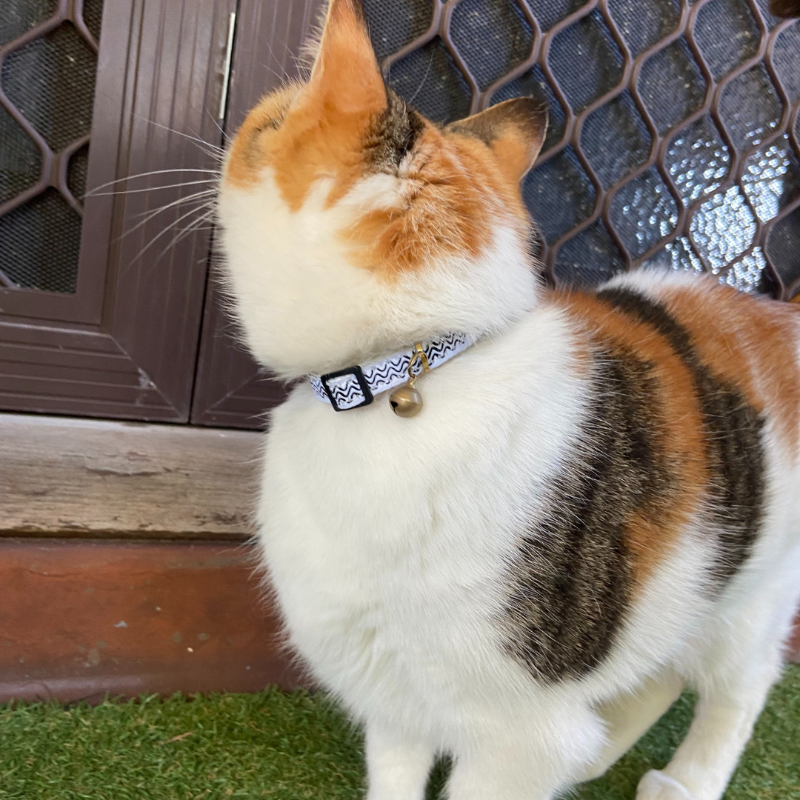 Cat Collar - Hemp - Black Wave Print