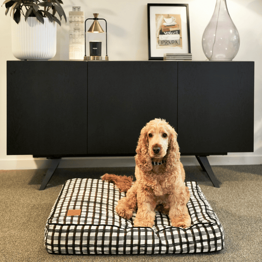 Cushion Dog Bed - Cocoa/ Black Plaid Print