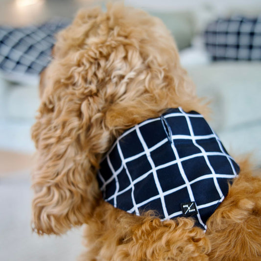 Dog Bandana - Navy Check Print