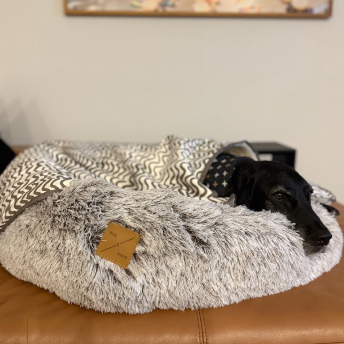Dog resting on a fluffy pet bed with a visible brand tag.
