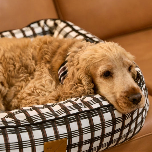 Bolster Dog Bed - Cocoa/ Black Plaid Print