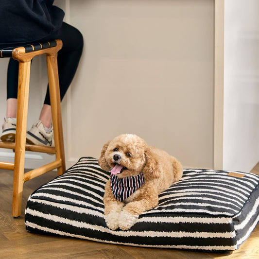 Cushion Dog Bed - Black Artisan Print