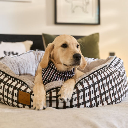 4 Seasons Reversible Circular Dog Bed - Cocoa/ Black Plaid Print