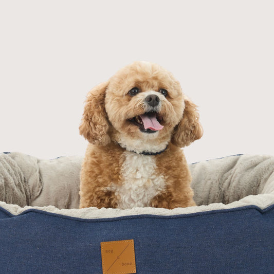 4 Seasons Reversible Circular Dog Bed - Blue Denim