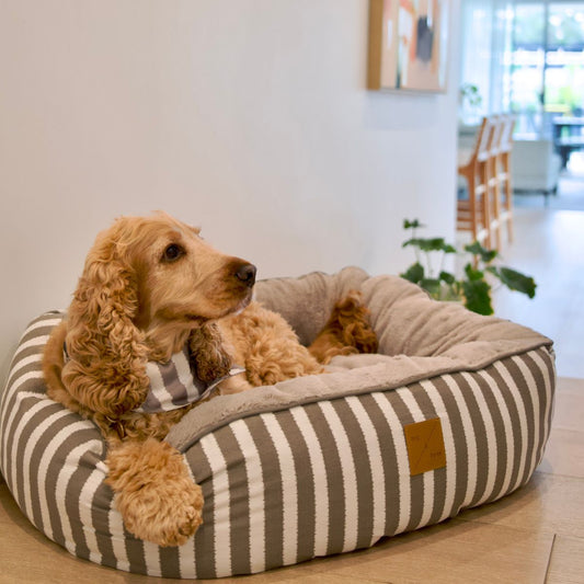 4 Seasons Reversible Circular Dog Bed - Latte Hamptons Stripe Print