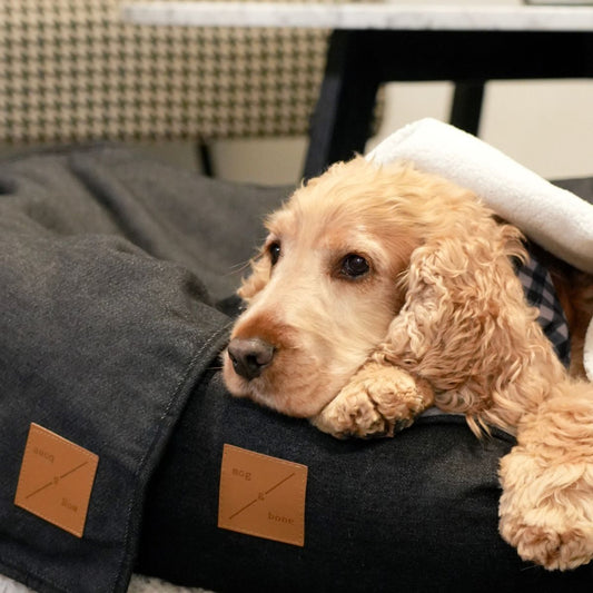 Pet Blanket with Fleece - Black Denim