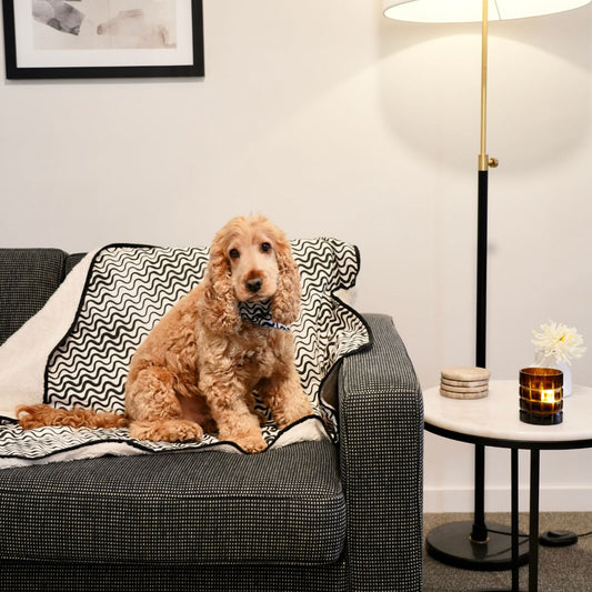 Pet Blanket with Fleece - Black Wave Print