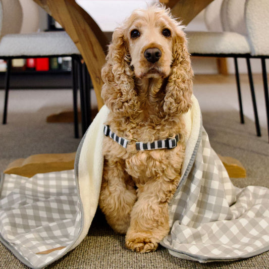 Pet Blanket with Fleece - Grey Gingham Print