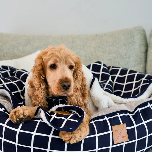 Pet Blanket with Fleece - Navy Check Print