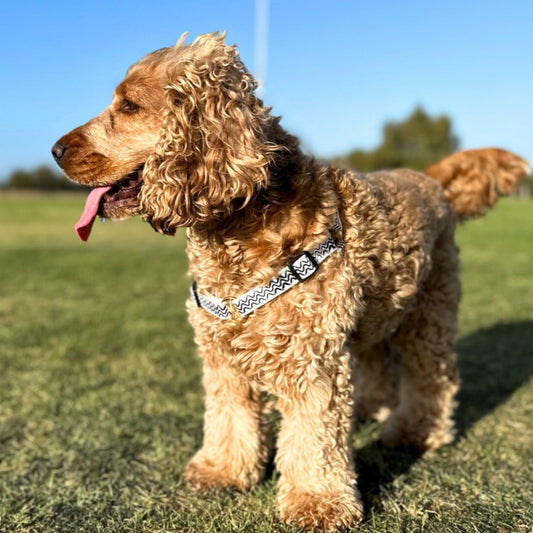Hemp Dog Harness - Black Wave Print
