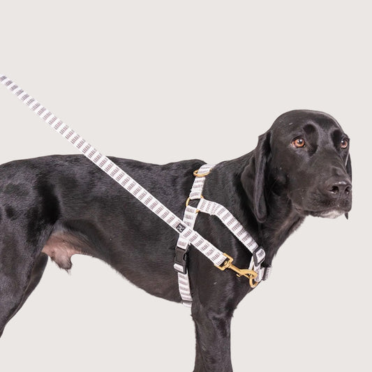Hemp Dog Harness - Latte Mosaic Print