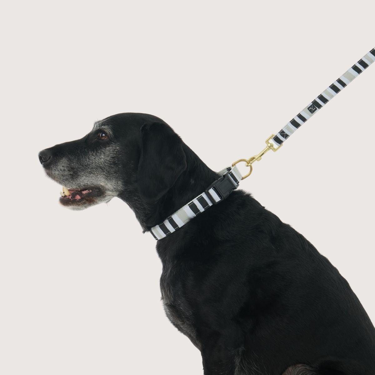Hemp Dog Lead - Pebble Black Brush Stroke Print