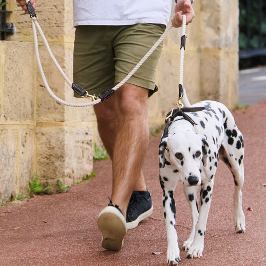 Rope Dog Lead (1.8m) - Multi Function with Leather & Brass Fittings - Natural