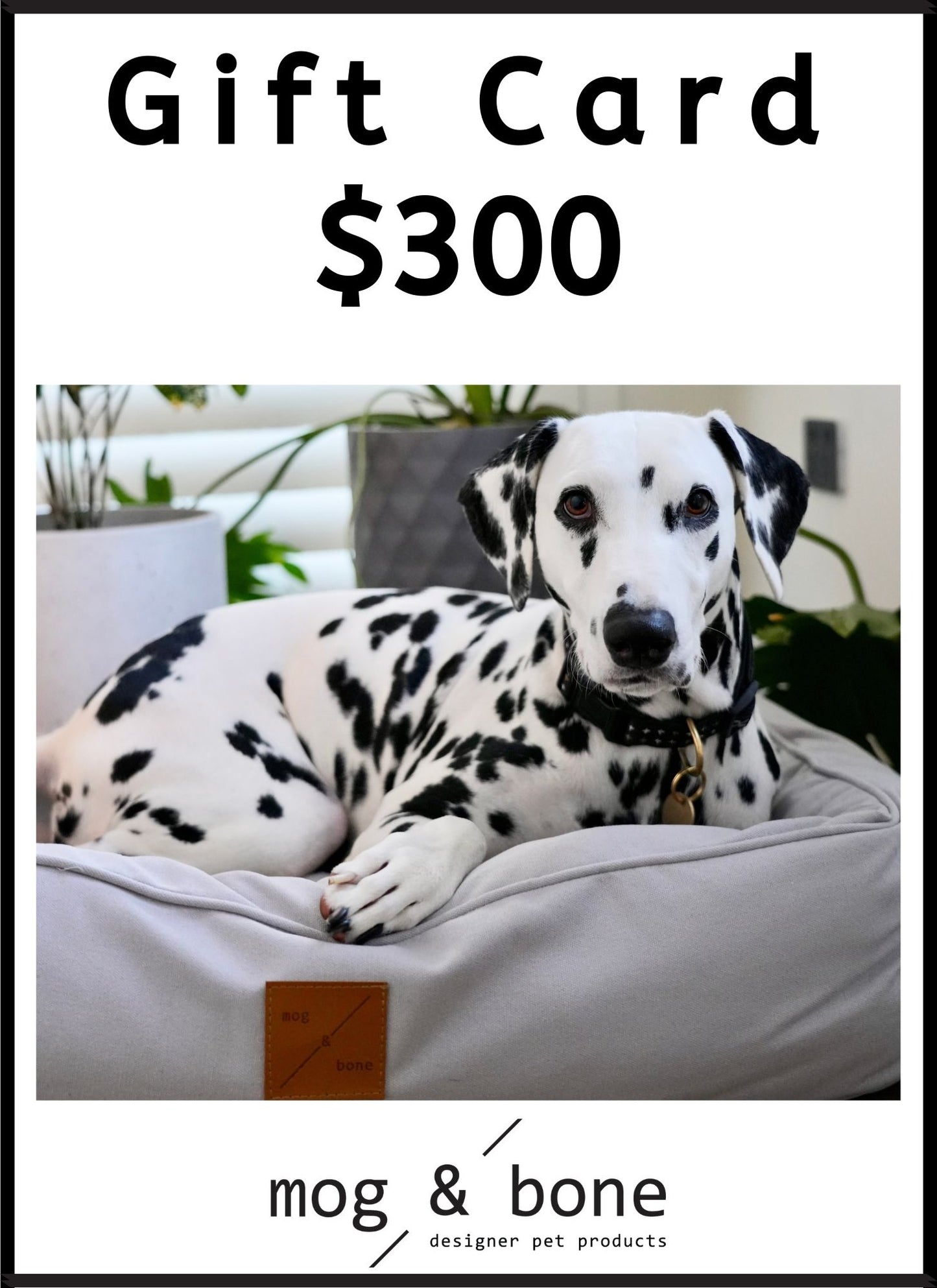 Mog & Bone E-Gift Card