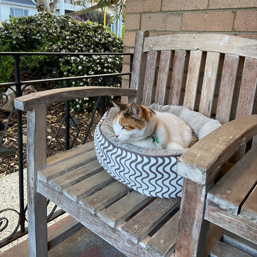 Cat Bed - Reversible - Mocha Wave Print