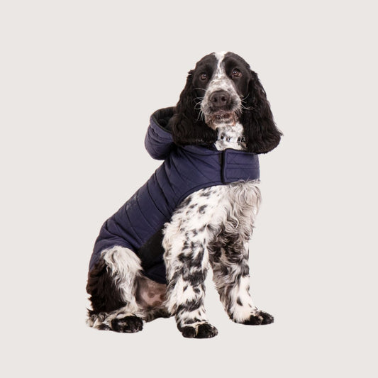 Dog Puffer Jacket - Navy