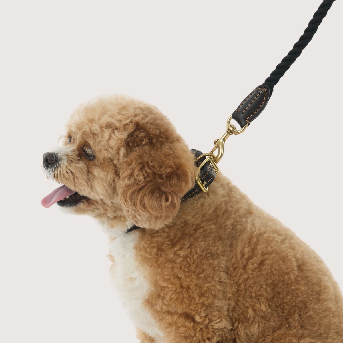 Rope Dog Lead (1.2m) - Leather & Brass Fittings - Black