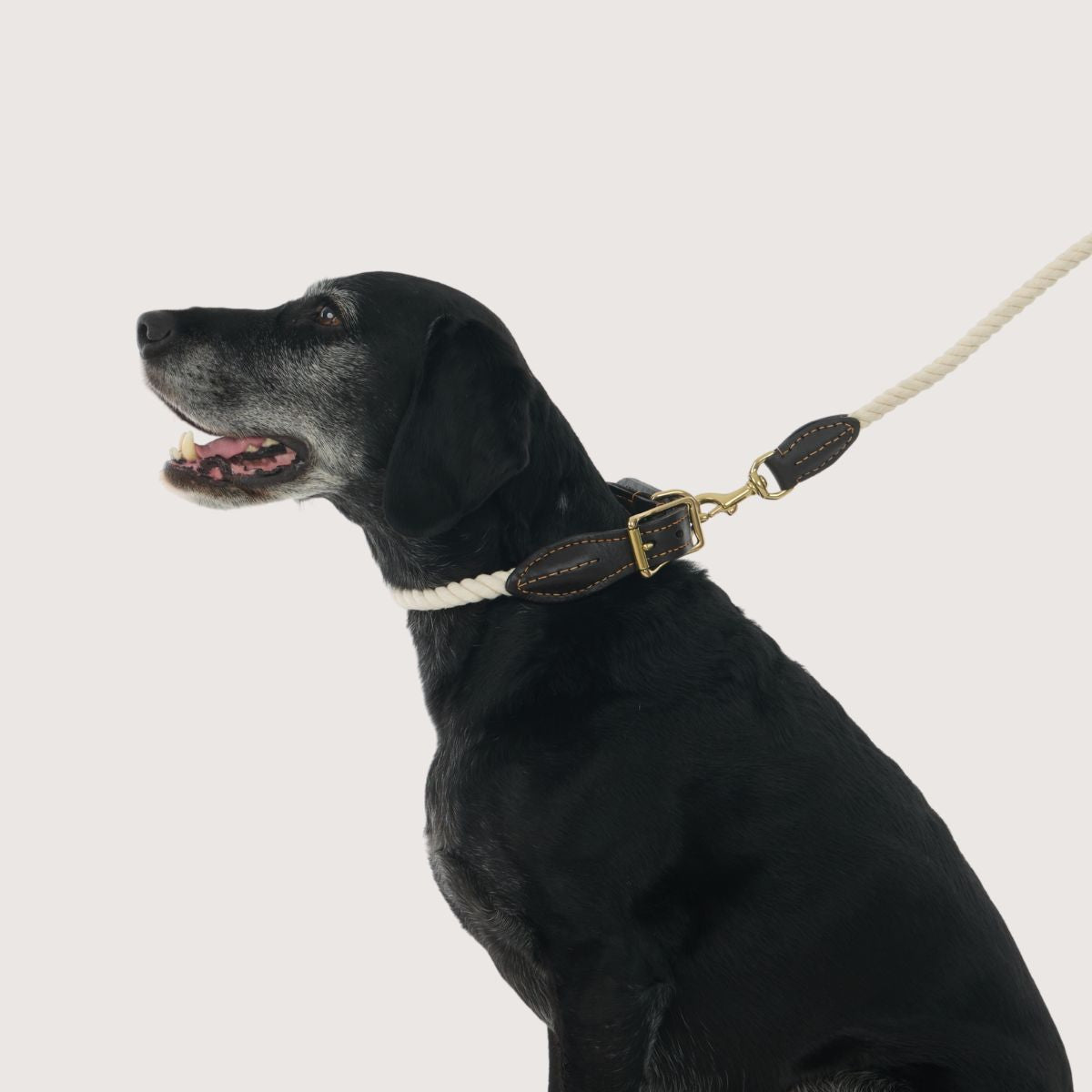 Rope Dog Lead (1.2m) - Leather & Brass Fittings - Natural