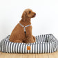 Mog & Bone Pet Products Bolster Dog Bed and Dog Harness - Charcoal Hampton Stripe