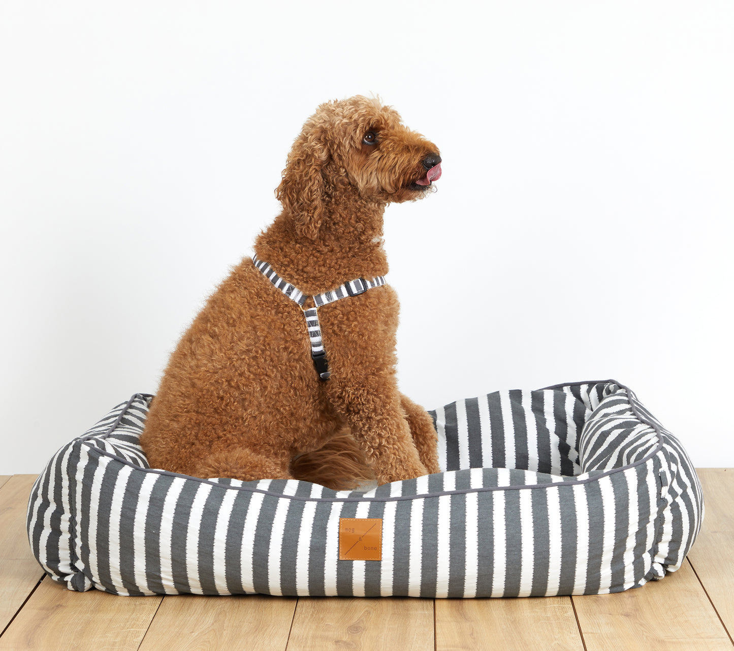 Mog & Bone Pet Products Bolster Dog Bed and Dog Harness - Charcoal Hampton Stripe