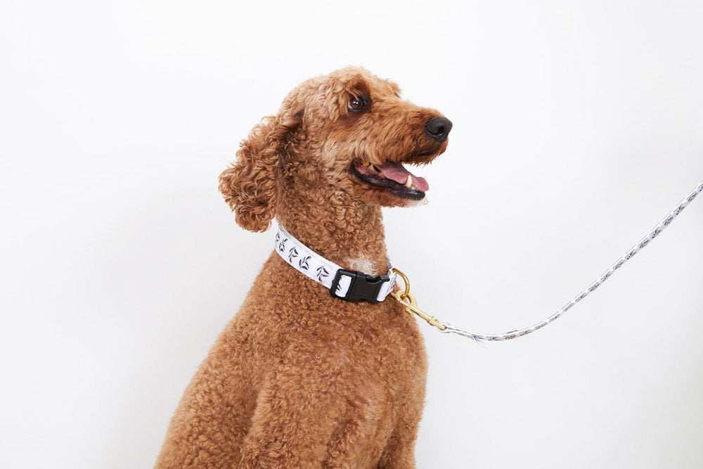 Hemp Dog Lead - Shadow Quartz Print
