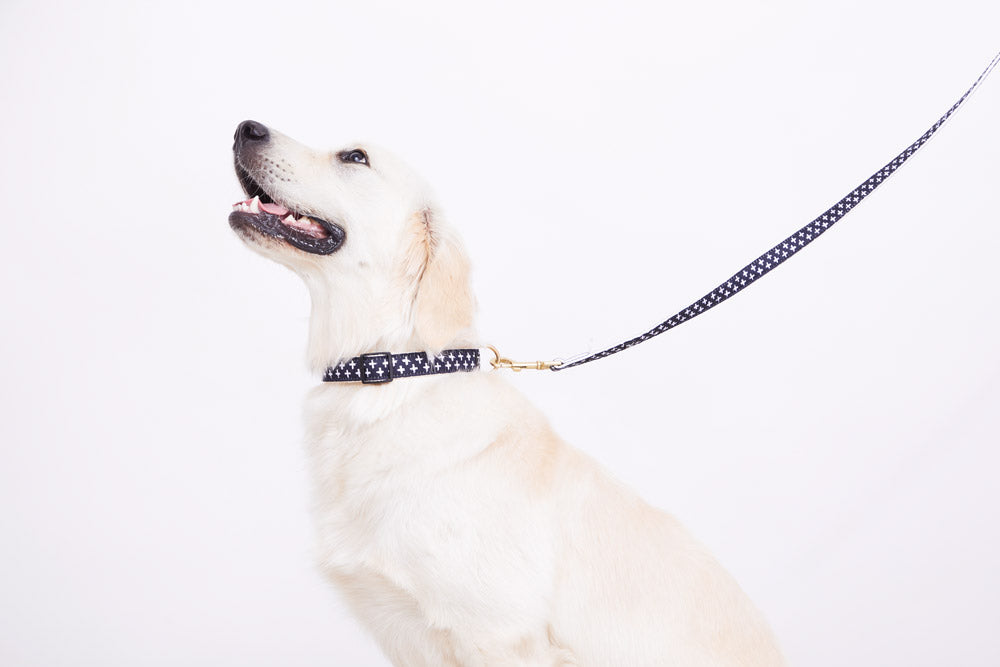Hemp Dog Collar - Navy Cross Print