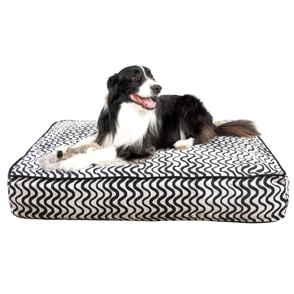 Cushion Dog Bed - Black Wave Print