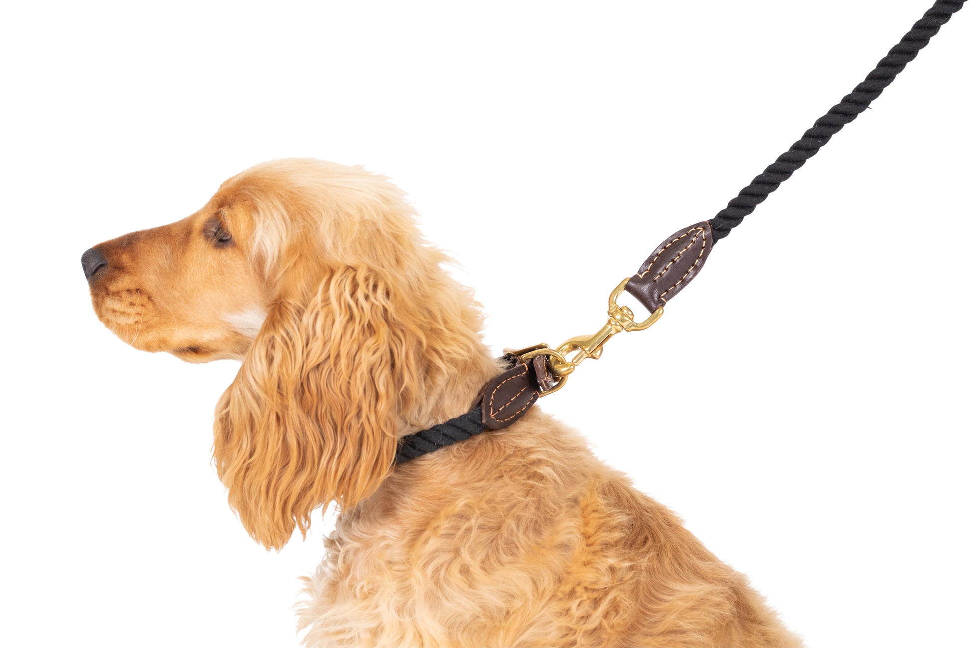 Mog and Bone Classic Rope Dog Lead (1.2m) and Rope Dog Collar - Black