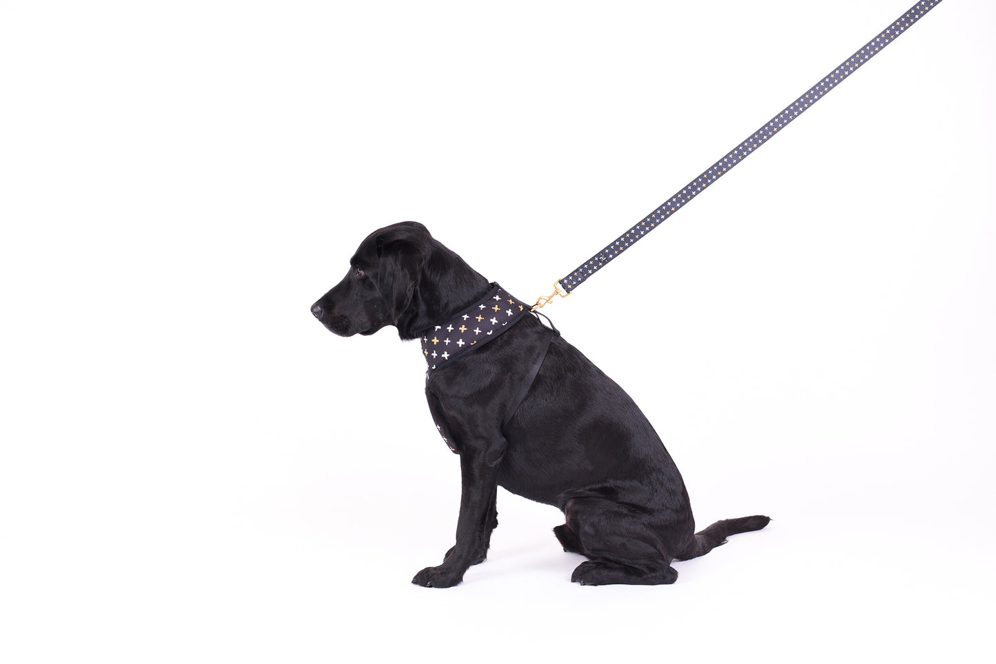 Neoprene Dog Harness - Black Metallic Cross Print