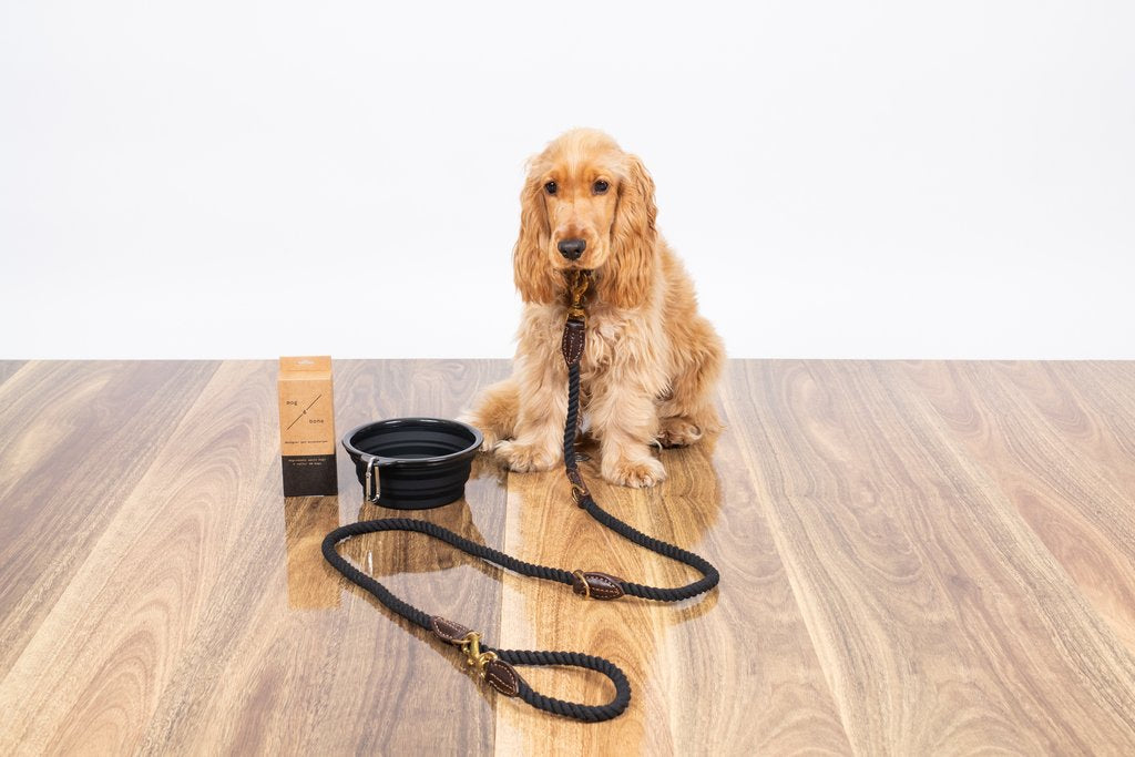 Rope Dog Lead (1.8m) - Multi Function with Leather & Brass Fittings - Black
