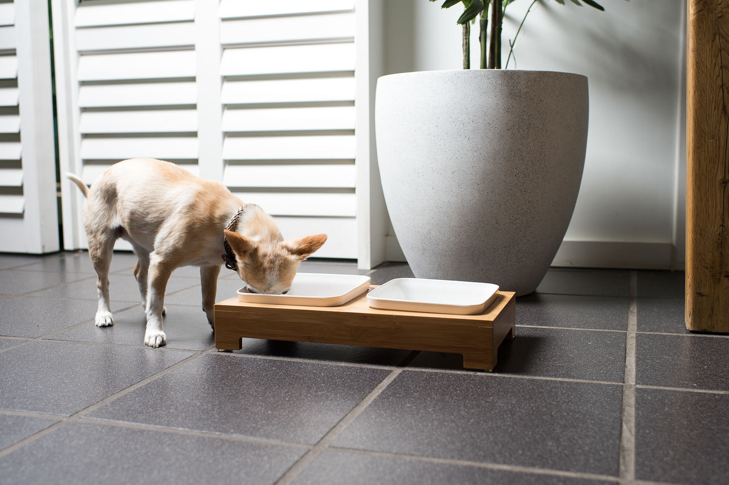 Mog & Bone Pet Products Bamboo & Melamine Dog Bowls