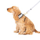 Neoprene Dog Harness - Grey Check