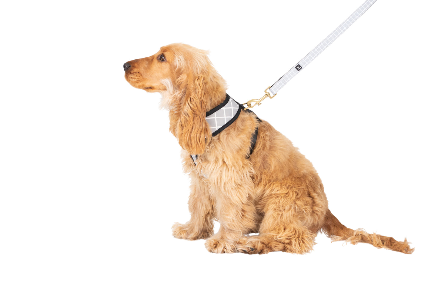 Neoprene Dog Harness - Grey Check